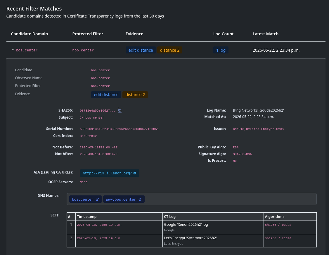 Typosquatting match detail showing suspicious domain evidence and similarity signals