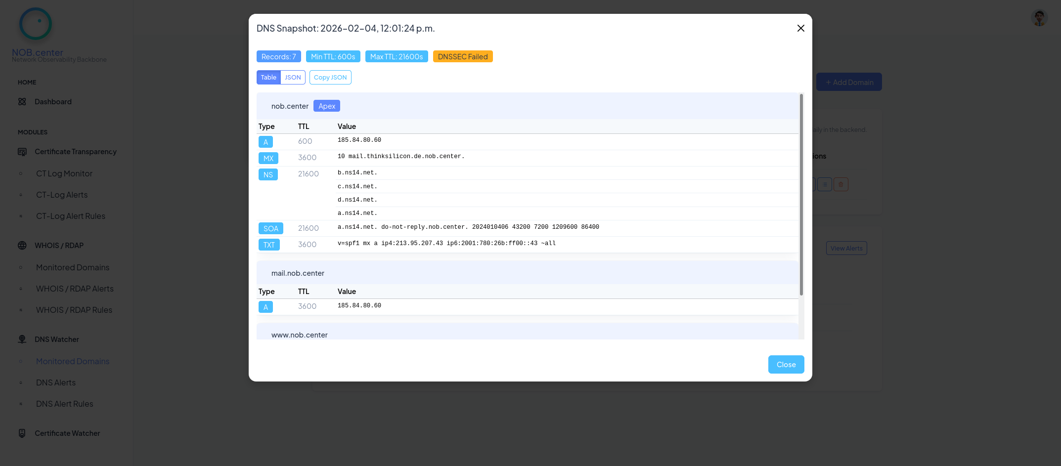 DNS Watcher snapshot view showing DNS record history